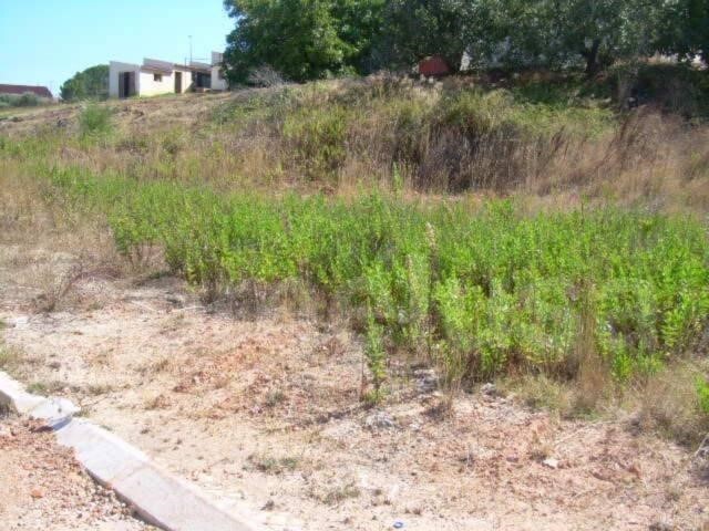 Terreno R�stico - Tavarede, Figueira da Foz, Coimbra - Imagem grande