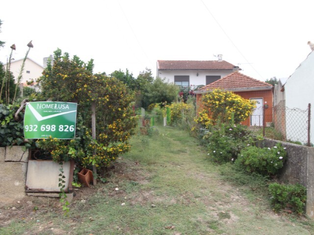 Terreno Rústico - Casal Comba, Mealhada, Aveiro - Imagem grande