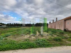Terreno R�stico - Cov�es, Cantanhede, Coimbra