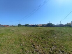 Terreno Rstico - REQUEIXO, NOSSA SENHORA DE FTIMA E NARIZ, Aveiro, Aveiro