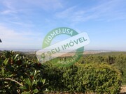Terreno R�stico - Pai�o, Figueira da Foz, Coimbra - Miniatura: 1/9
