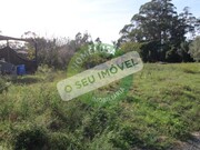 Terreno R�stico - Pai�o, Figueira da Foz, Coimbra - Miniatura: 7/9