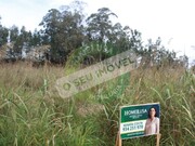 Terreno R�stico - Montemor-o-Velho, Montemor-o-Velho, Coimbra - Miniatura: 2/9