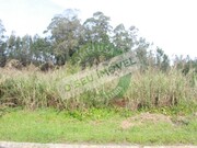 Terreno R�stico - Montemor-o-Velho, Montemor-o-Velho, Coimbra - Miniatura: 4/9