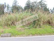Terreno R�stico - Montemor-o-Velho, Montemor-o-Velho, Coimbra - Miniatura: 5/9