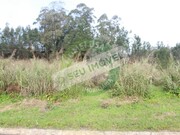 Terreno R�stico - Montemor-o-Velho, Montemor-o-Velho, Coimbra - Miniatura: 7/9