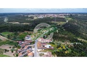 Terreno R�stico - Pai�o, Figueira da Foz, Coimbra - Miniatura: 4/9