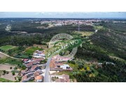 Terreno R�stico - Pai�o, Figueira da Foz, Coimbra - Miniatura: 5/9