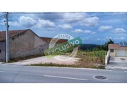 Terreno R�stico - Pai�o, Figueira da Foz, Coimbra - Miniatura: 6/9