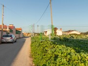 Terreno R�stico - Cov�es, Cantanhede, Coimbra - Miniatura: 5/9
