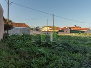 Terreno R�stico - Cov�es, Cantanhede, Coimbra - Miniatura: 7/9