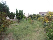 Terreno Rstico - Casal Comba, Mealhada, Aveiro - Miniatura: 3/9