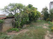 Terreno Rstico - Casal Comba, Mealhada, Aveiro - Miniatura: 4/9