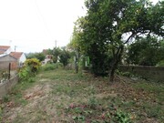 Terreno Rstico - Casal Comba, Mealhada, Aveiro - Miniatura: 5/9