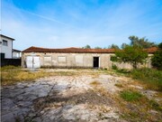 Terreno R�stico - Mealhada, Mealhada, Aveiro - Miniatura: 6/9