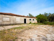 Terreno R�stico - Mealhada, Mealhada, Aveiro - Miniatura: 7/9