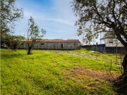Terreno R�stico - Mealhada, Mealhada, Aveiro - Miniatura: 9/9