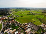 Terreno R�stico - Bom Sucesso, Figueira da Foz, Coimbra - Miniatura: 4/9