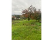 Moradia T1 - Carapinheira, Montemor-o-Velho, Coimbra - Miniatura: 4/9