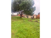 Moradia T1 - Carapinheira, Montemor-o-Velho, Coimbra - Miniatura: 5/9