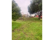 Moradia T1 - Carapinheira, Montemor-o-Velho, Coimbra - Miniatura: 6/9