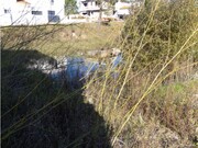Terreno R�stico - An��, Cantanhede, Coimbra - Miniatura: 2/8