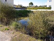 Terreno R�stico - An��, Cantanhede, Coimbra - Miniatura: 3/8