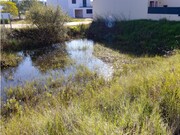 Terreno R�stico - An��, Cantanhede, Coimbra - Miniatura: 6/8