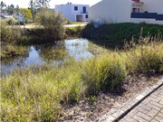 Terreno R�stico - An��, Cantanhede, Coimbra - Miniatura: 7/8