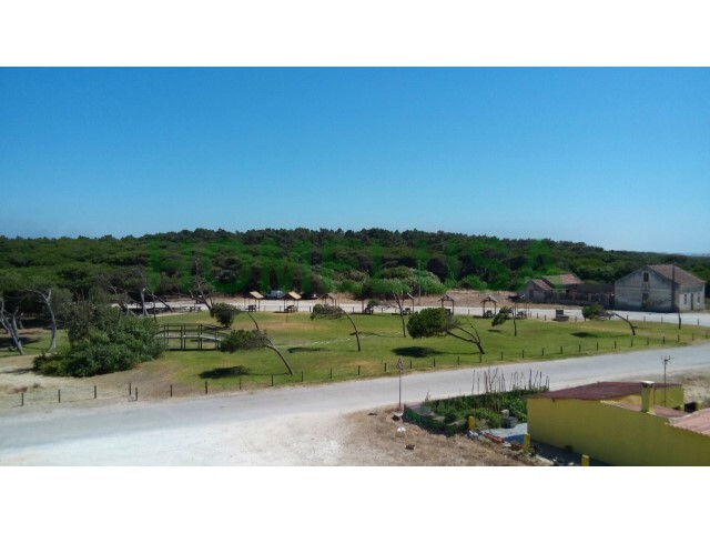 Terreno R�stico - S. Pedro, Figueira da Foz, Coimbra - Imagem grande