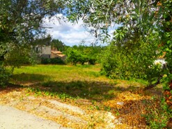 Terreno Rstico - Portunhos, Cantanhede, Coimbra