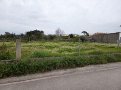 Terreno R�stico - Carapinheira, Montemor-o-Velho, Coimbra