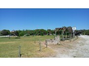 Terreno R�stico - S. Pedro, Figueira da Foz, Coimbra - Miniatura: 9/9