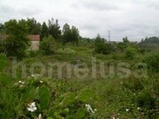 Terreno R�stico - Tavarede, Figueira da Foz, Coimbra - Miniatura: 2/6
