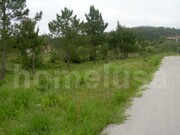 Terreno R�stico - Tavarede, Figueira da Foz, Coimbra - Miniatura: 3/6