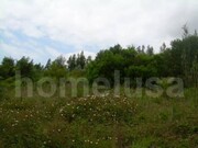 Terreno R�stico - Tavarede, Figueira da Foz, Coimbra - Miniatura: 4/6
