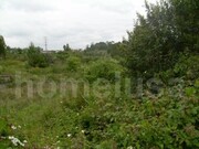 Terreno R�stico - Tavarede, Figueira da Foz, Coimbra - Miniatura: 6/6