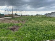 Terreno Rstico - REQUEIXO, NOSSA SENHORA DE FTIMA E NARIZ, Aveiro, Aveiro - Miniatura: 5/5