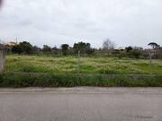 Terreno R�stico - Carapinheira, Montemor-o-Velho, Coimbra - Miniatura: 4/9