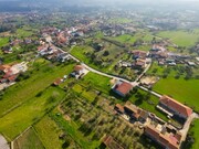 Terreno R�stico - Carapinheira, Montemor-o-Velho, Coimbra - Miniatura: 8/9