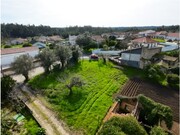 Terreno R�stico - Portunhos, Cantanhede, Coimbra - Miniatura: 3/9