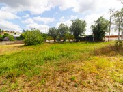 Terreno R�stico - Portunhos, Cantanhede, Coimbra - Miniatura: 9/9