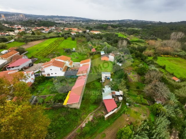 Terreno R�stico - Souselas, Coimbra, Coimbra - Imagem grande