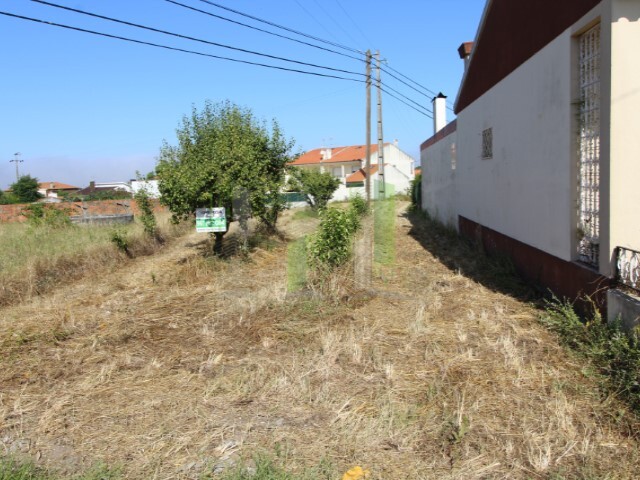 Terreno Rústico - Lavos, Figueira da Foz, Coimbra - Imagem grande