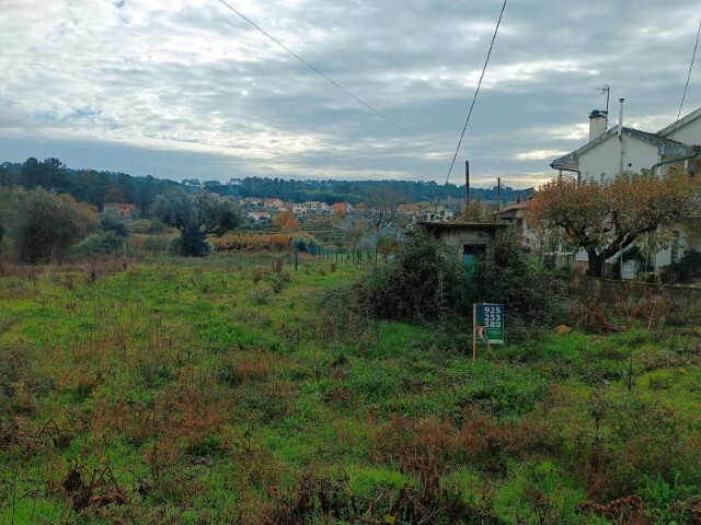 Terreno R�stico - Santar, Nelas, Viseu - Imagem grande