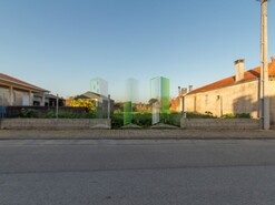 Terreno R�stico - Cov�es, Cantanhede, Coimbra
