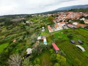 Terreno R�stico - Souselas, Coimbra, Coimbra - Miniatura: 5/6