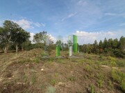 Terreno R�stico - Santa Clara, Coimbra, Coimbra - Miniatura: 3/6