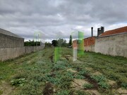 Terreno R�stico - Cov�es, Cantanhede, Coimbra - Miniatura: 1/9