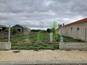 Terreno R�stico - Cov�es, Cantanhede, Coimbra - Miniatura: 2/9